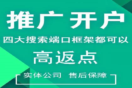 某行业巨头背后的SEM代运营服务公司