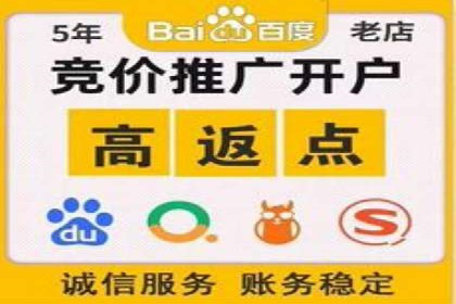 百度广告推广的投放策略与市场分析
